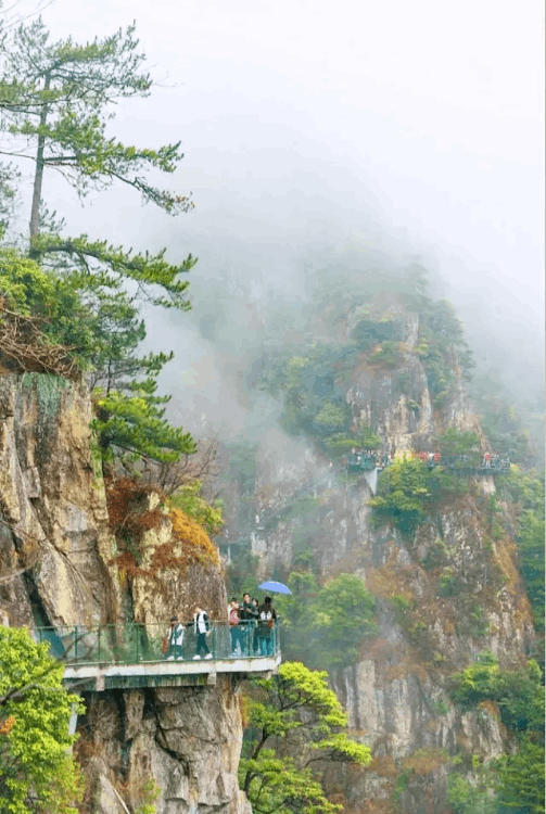 浙江玻璃栈道挤爆(浙江有几个玻璃栈道)