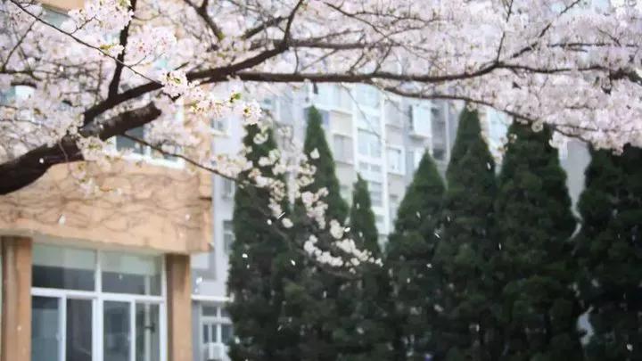 矿大徐海学院(矿大徐海学院是几本)