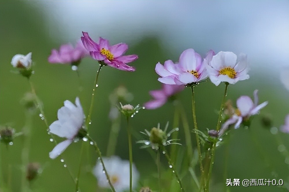 别总说年轻人不肯吃苦 不过是脱离之前的贫困生活罢了