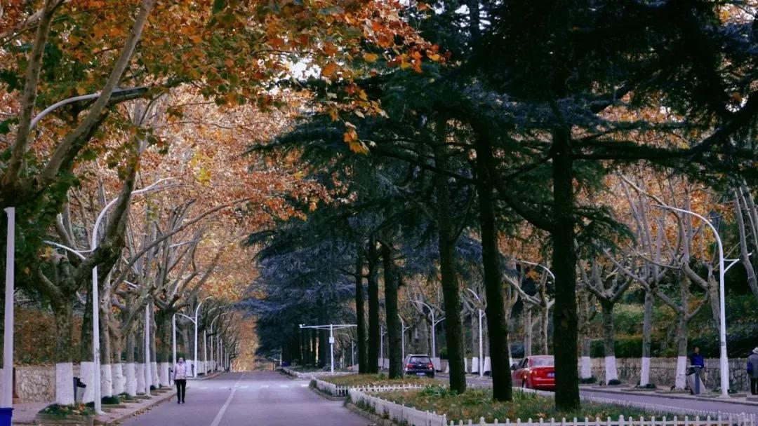 矿大徐海学院(矿大徐海学院是几本)